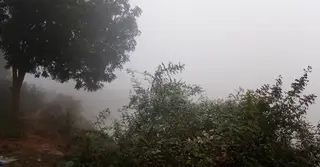 আগামী পাঁচ দিনে রাতের তাপমাত্রা বাড়তে পারে, হালকা কুয়াশার সম্ভাবনা